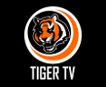 TigerTV.ru's user avatar