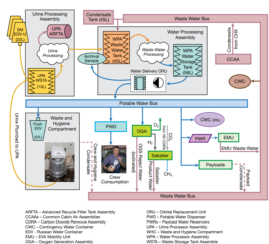  A schematic showing the overview of the water processing system. Wastewater from the Waste and Hygiene Compartment (WHC) is transferred to the Urine Processor Assembly and the WPA. From the WPA, clean water is placed on the potable bus where it can be transferred to the O2 generator, the crew’s drinking station (Potable Water Dispenser), or the Sabatier, or used for EVA Mobility Units or for flush water in the WHC