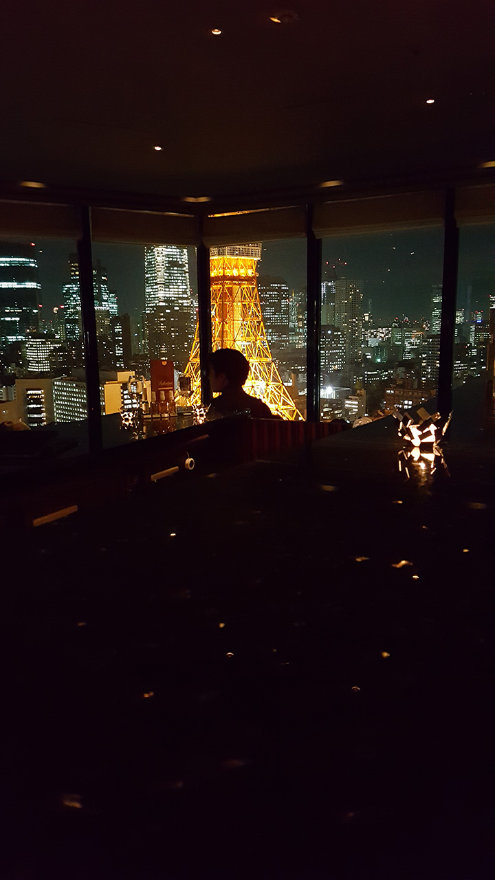 View from SkyLounge on Tokyo Tower