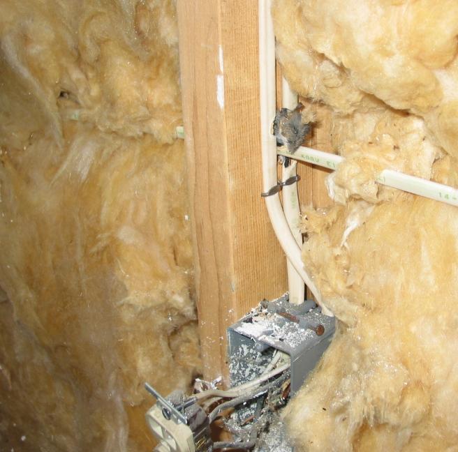 Rodent damage to cabling