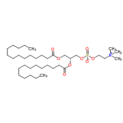 Dimristoylphosphatidylcholine, Pubchem