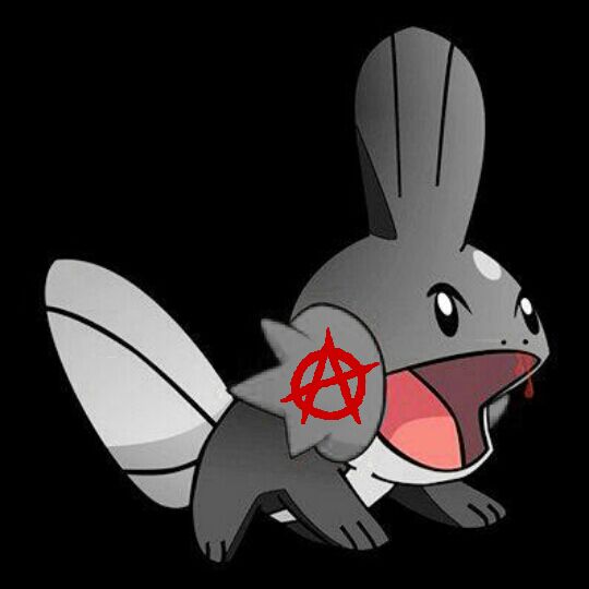 Anarchist Mudkip's user avatar