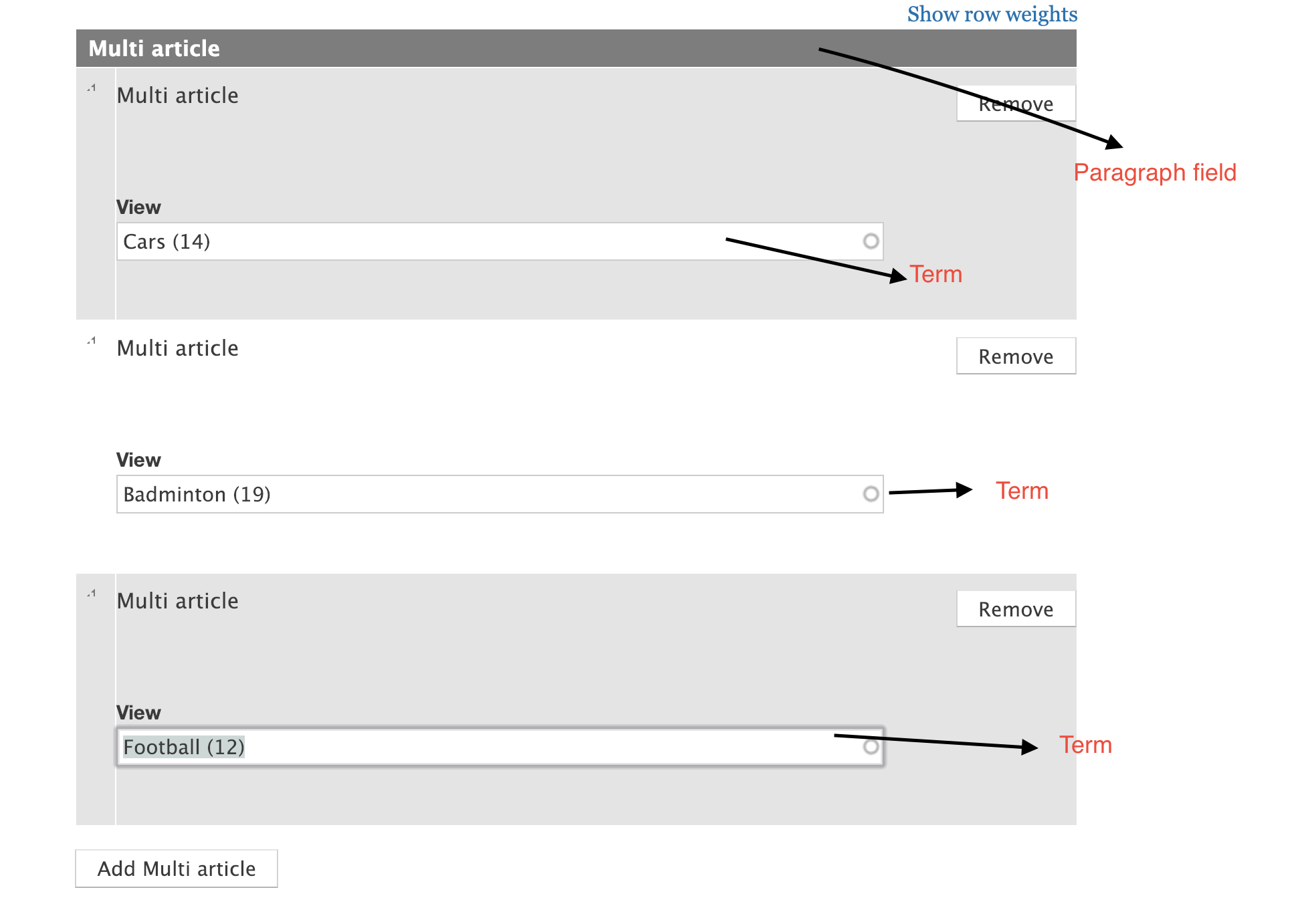 Paragraph field screenshot