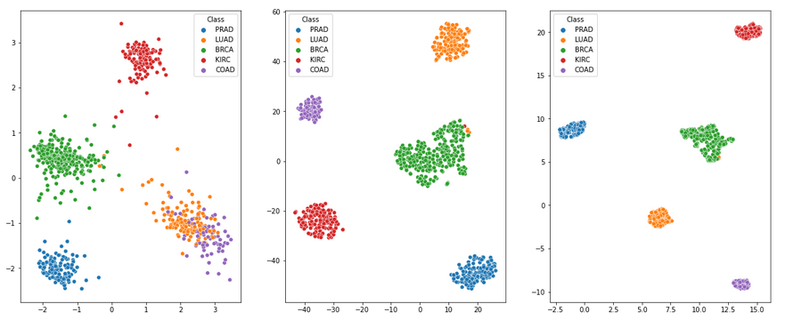 PCA after feature extraction