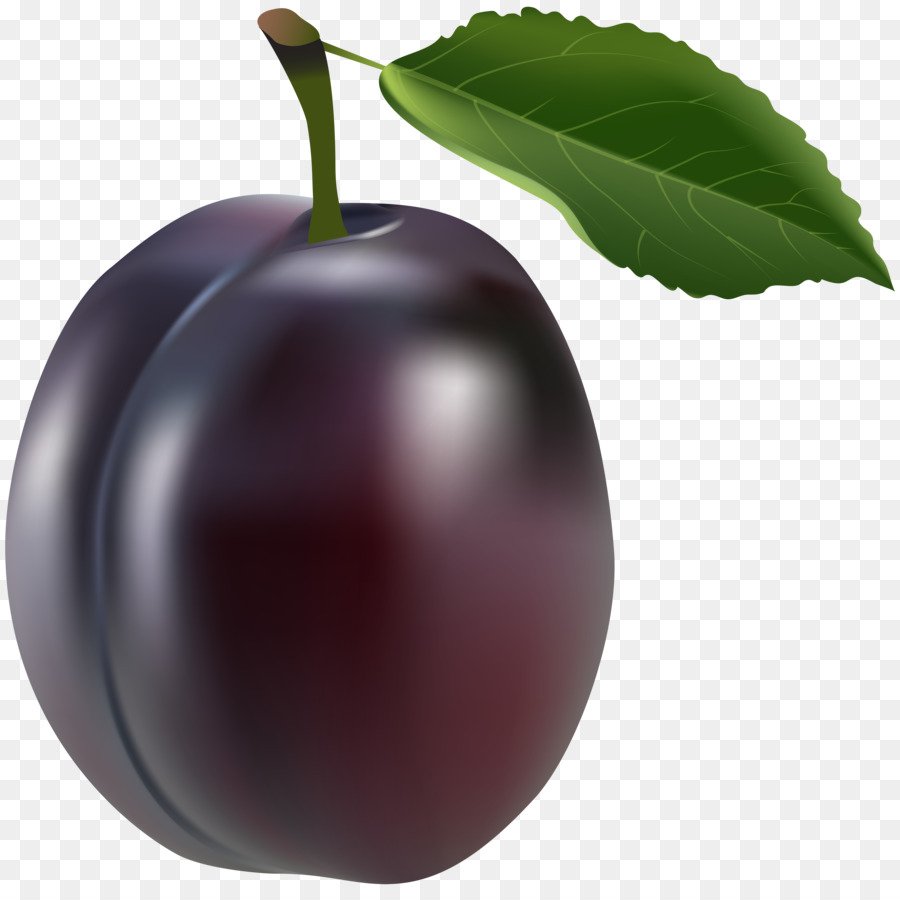 Plum