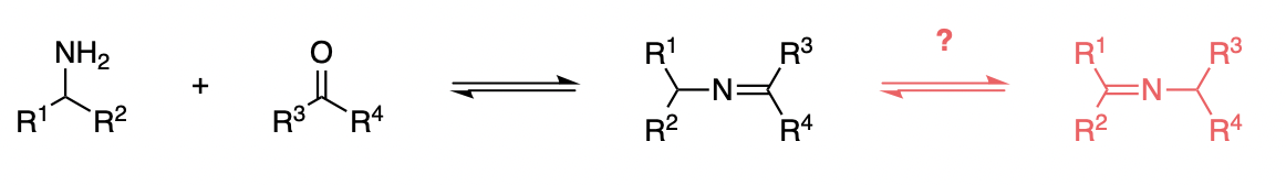 Proposed ketimine tautomerism