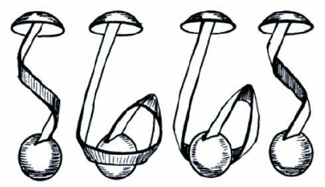 Dirac Belt Trick illustrated by George Francis.