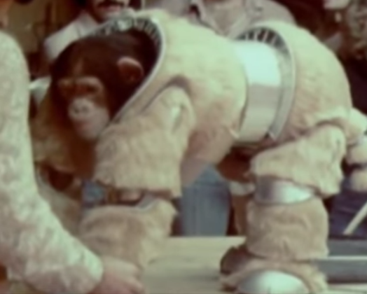 chimp in a space suit