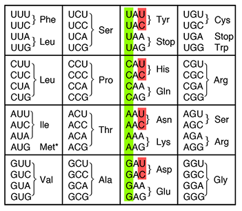 Genetic code