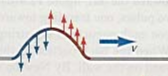 Forces on the particles of a pulse