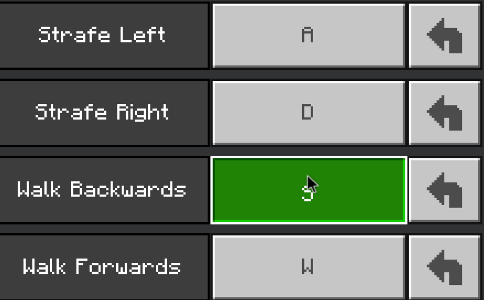 Settings config stuck on WASD for left, right forward and backward