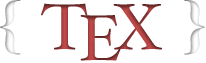 tex.sx logo