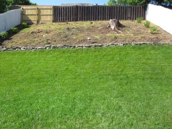 Planted garden area