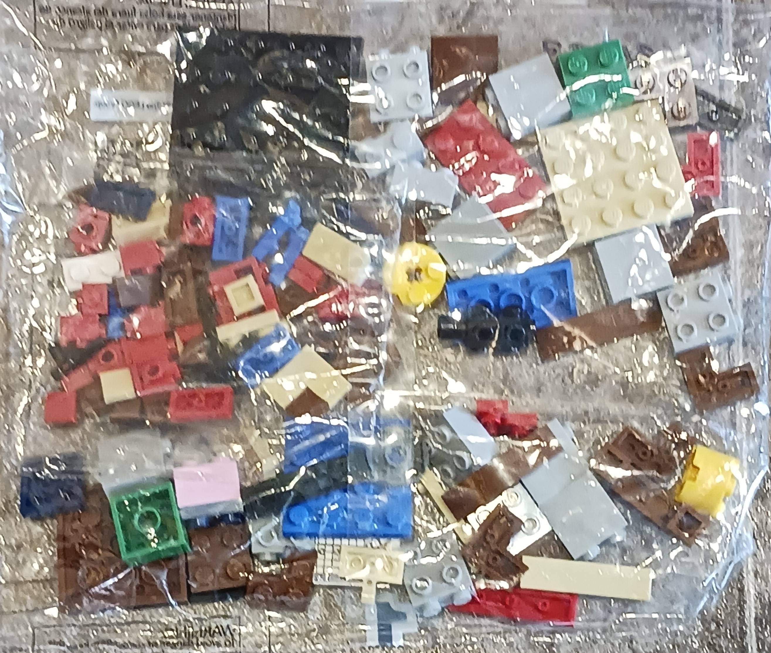 Picture of bag of LEGO pieces