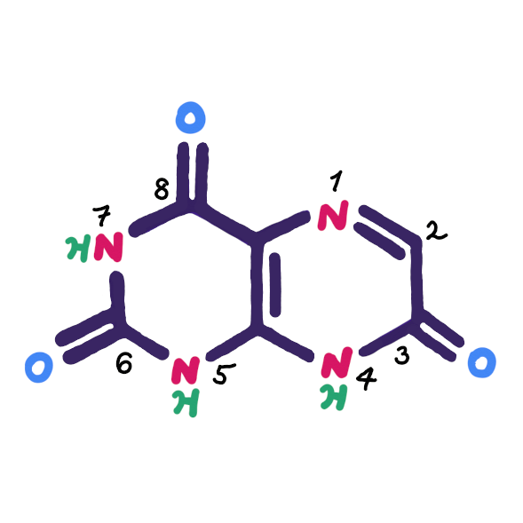 Violapterin's user avatar