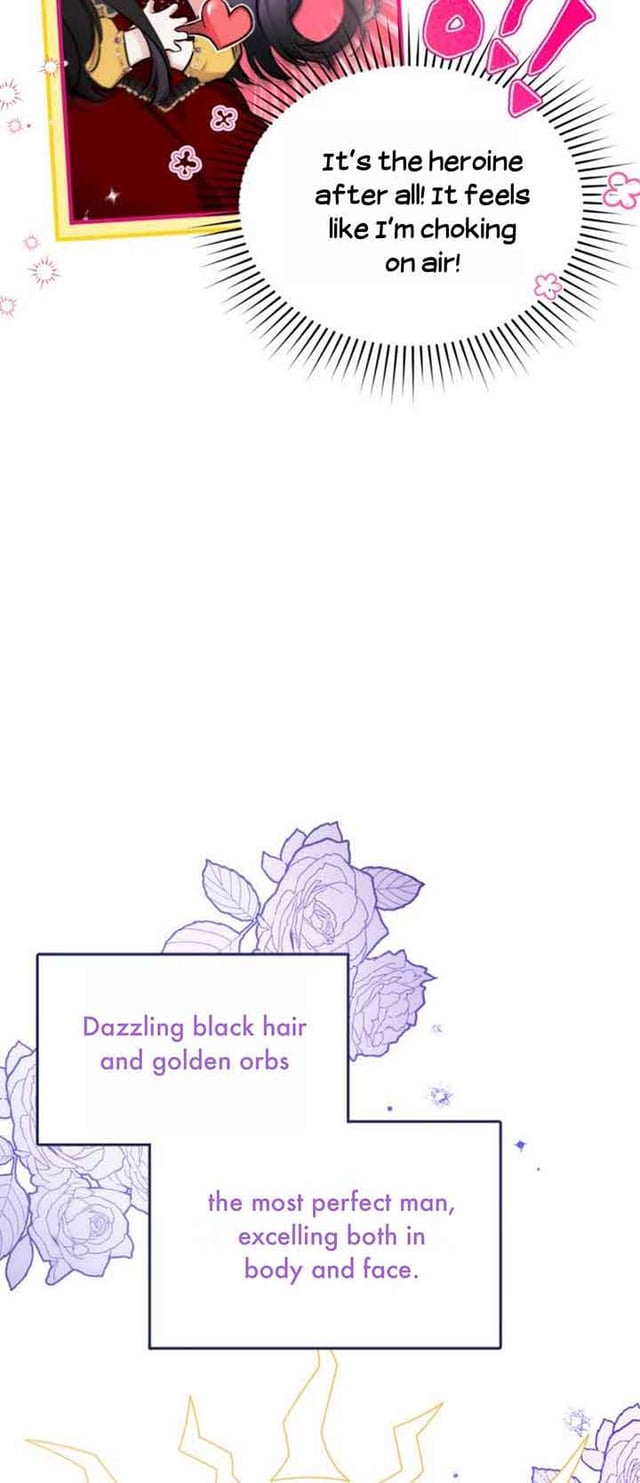 Cartoony reaction shot of the narrator saying "It's the heroine after all! It feels like I'm choking on air!"  The narration for the next portrait begins "Dazzling black hair and golden orbs the most perfect man, excelling both in body and face."