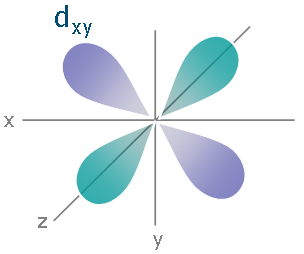 d orbital