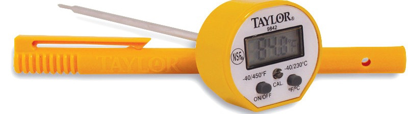 example of probe thermometer