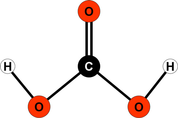 Structure of carbonic acid