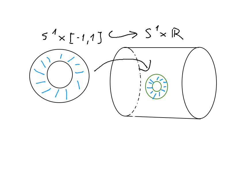 Contractible embedding of S^1 \times [-1,1] into S^1 \times \mathbb{R}.