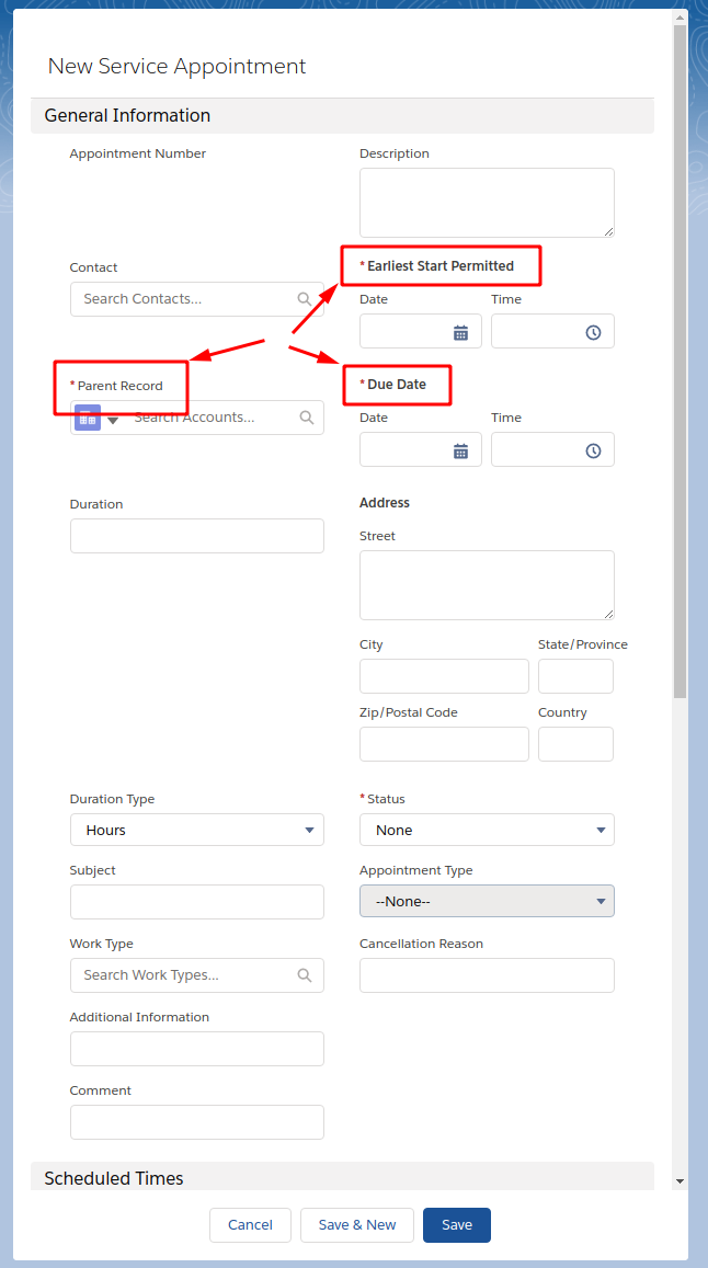 New Service Appointment GUI form