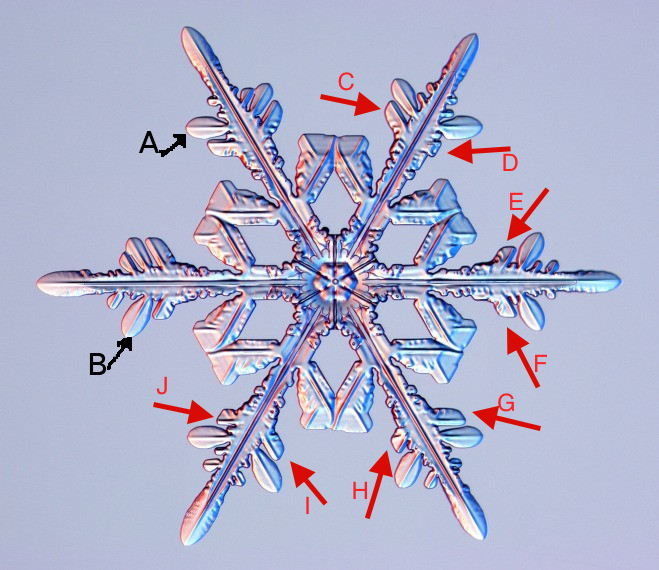 annotated snowflake