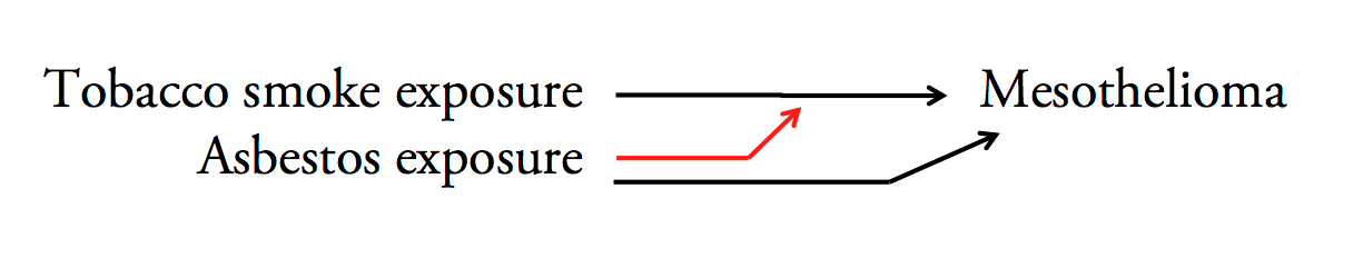 Not a Directed Acyclic Graph: tobacco smoke exposure causes increased mesothelioma risk; asbestos exposure causes increased mesothelioma risk; asbestos exposure causes an increase in the causal effect of tobacco on mesothelioma risk.