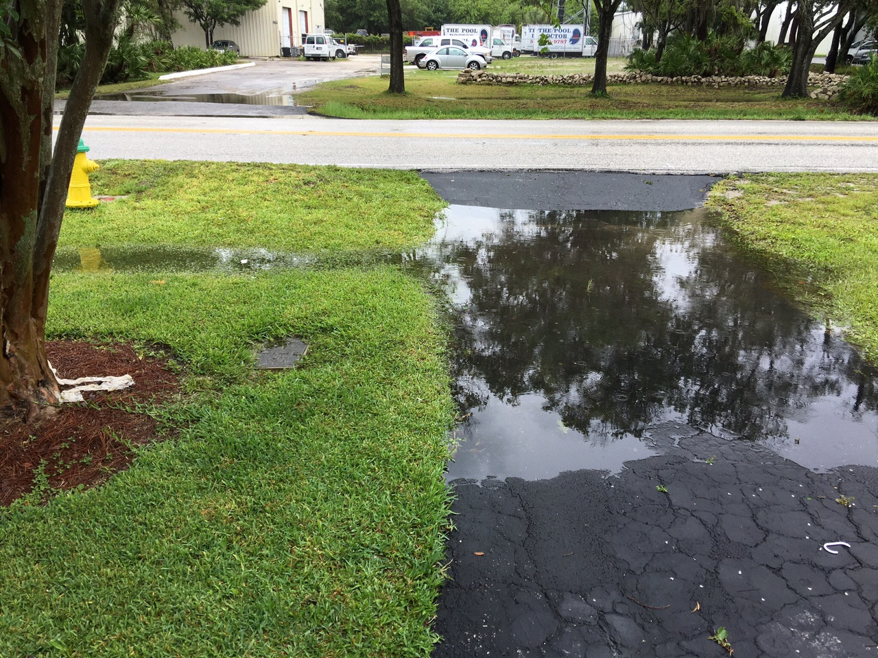 Front Driveway