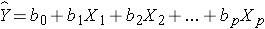 Multple Regression Equation