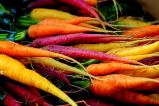 Different colours of carrots