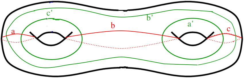 The lengths of the red curves plus their angles of intersection coordinatize Teichmueller space. Wolpert's work shows the differentials of the lengths of the green curves are parameterized by the angles of geodesic intersections between the red and green curves.