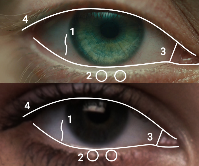 Eye comparison 2