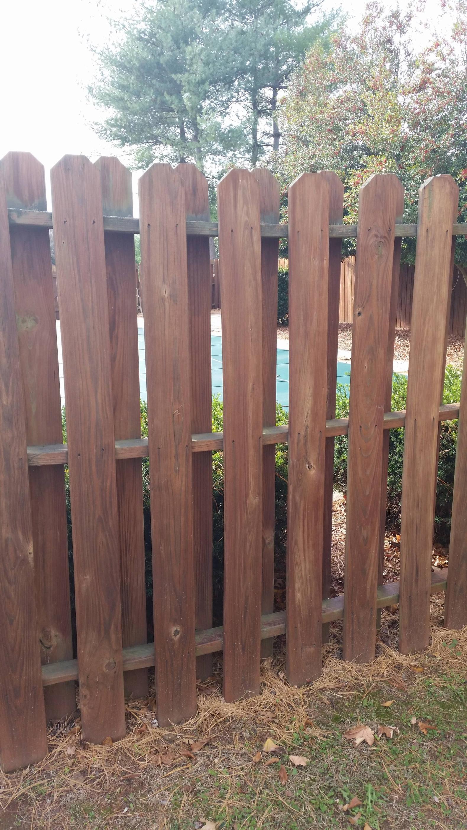 Actual Picture of Fence