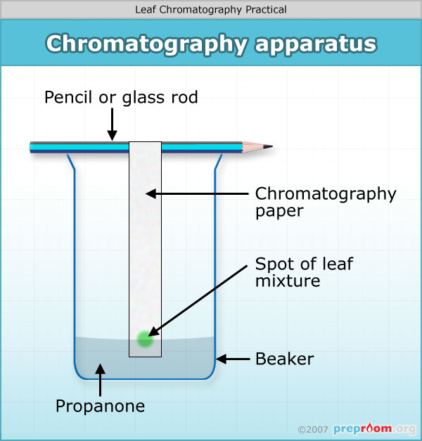 Chromatography apparatus