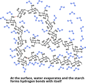 Starch network