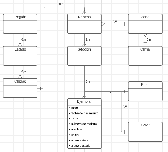 Figura 3