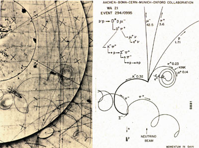 muon nucleus interaction