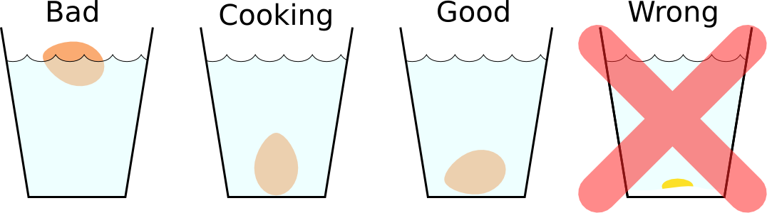 4 egg positions