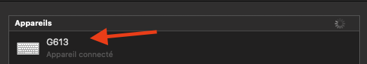 G613 in Bluetooth menu