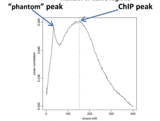 x-axis: genomic position; y-axis: read density