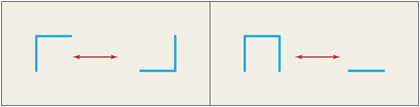 LatticePolygonMoves