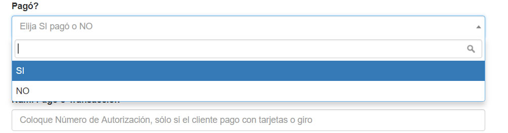 Opciones SI - NO en 1- Pago si o no? 