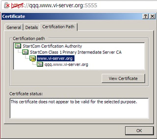 Google Chrome showing invalid certificate's info