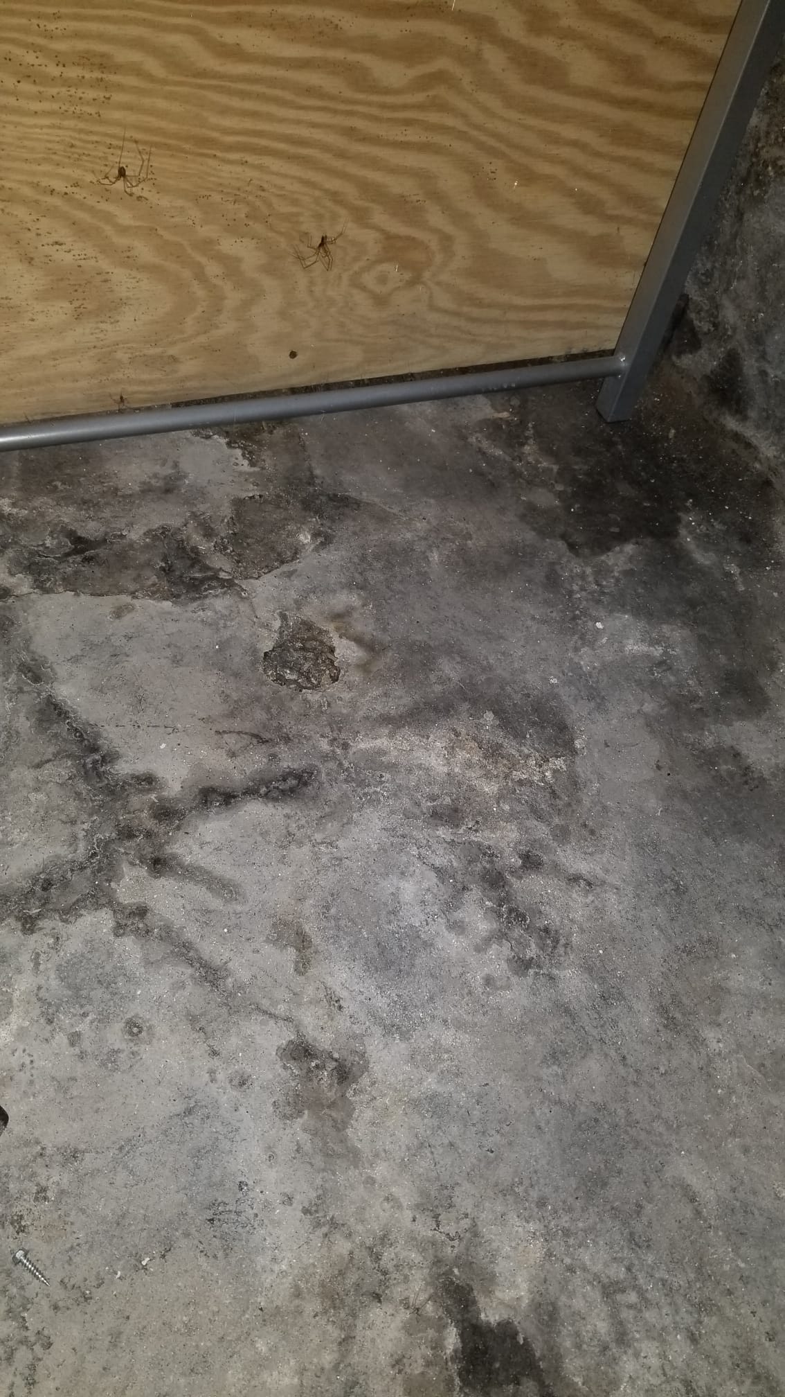 picture of cracked basement floor #1