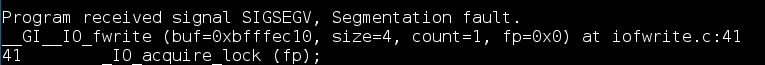 segmentation fault