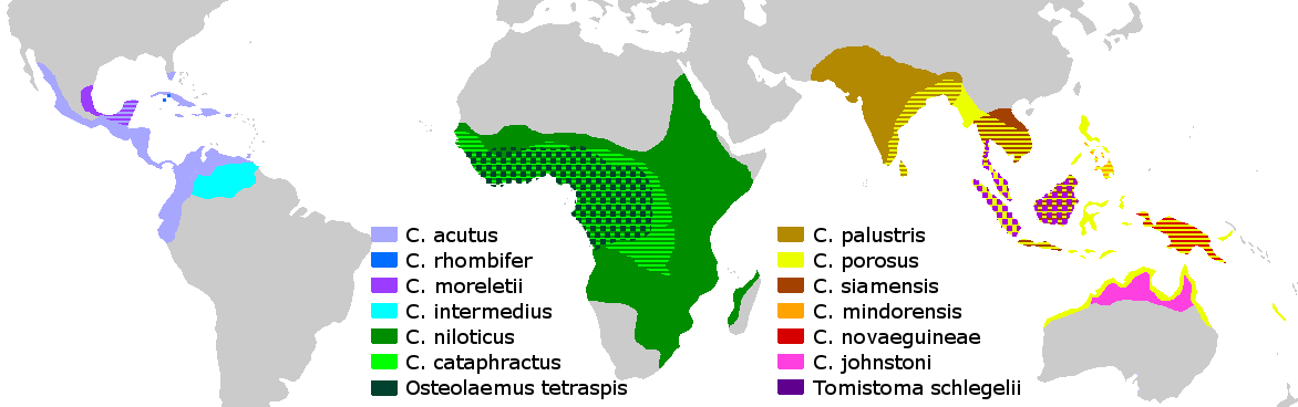 Crocodile range map -- none in Europe