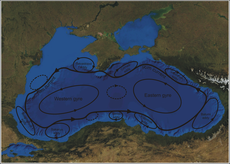 Black Sea surface currents