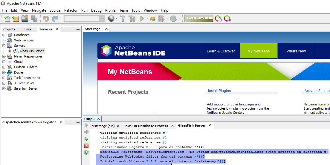 Imagen netbeans 11