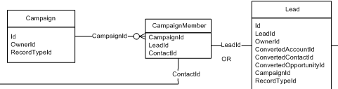 Campaign-CampaignMember-Lead relationship