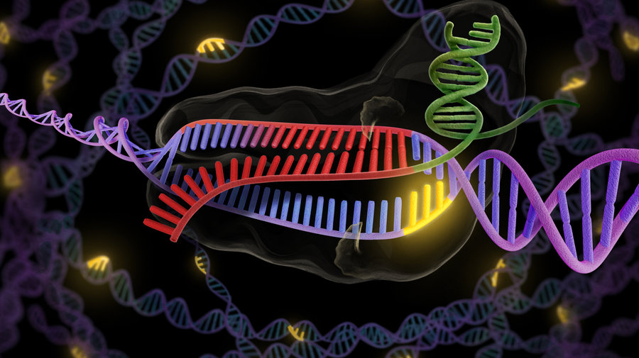 CRISPR2016's user avatar